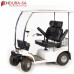 Endura Endurance Golf Scooter