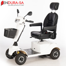 All Terrain Mobility Scooters (6)